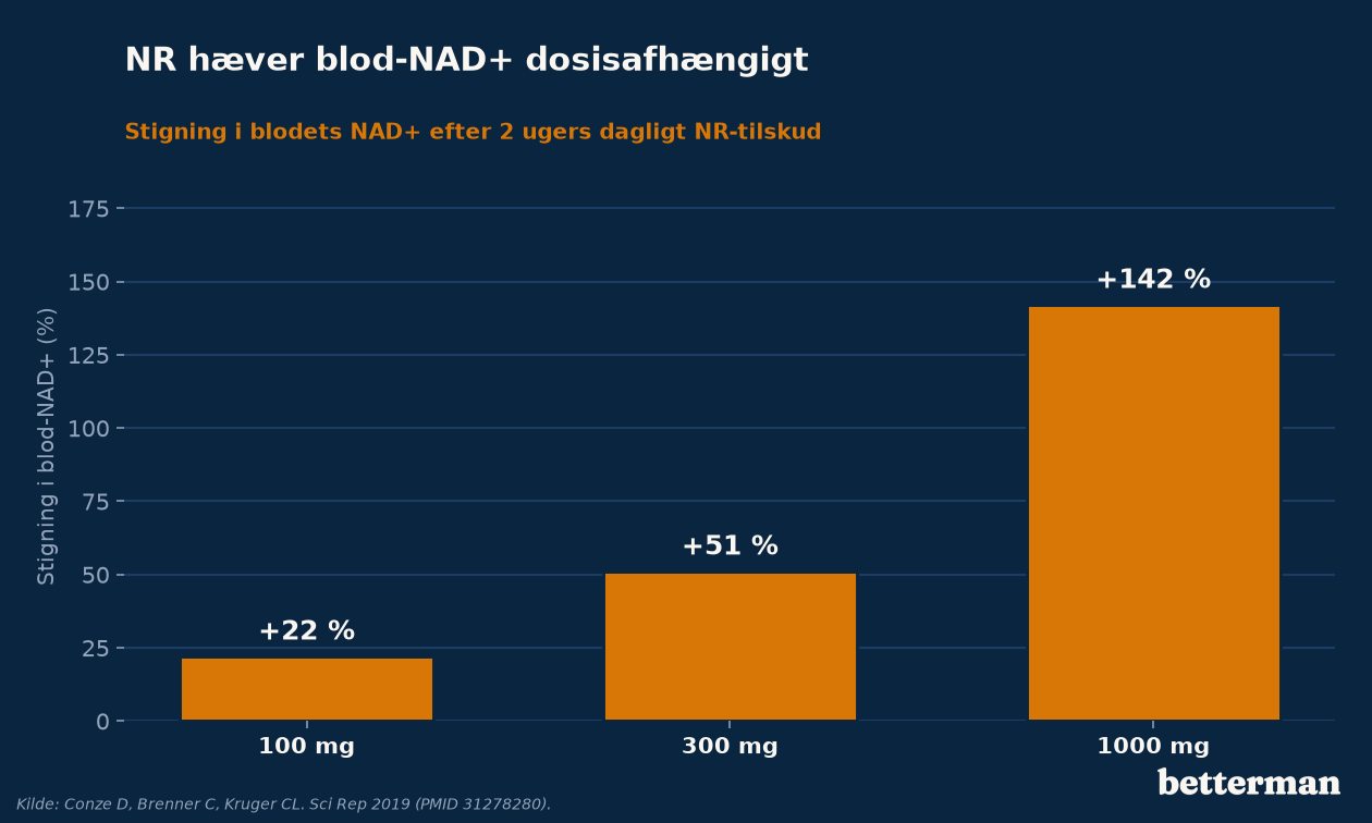 Blod-NAD+ stiger dosisafhængigt efter to ugers dagligt NR-tilskud i doser på 100, 300 og 1000 mg