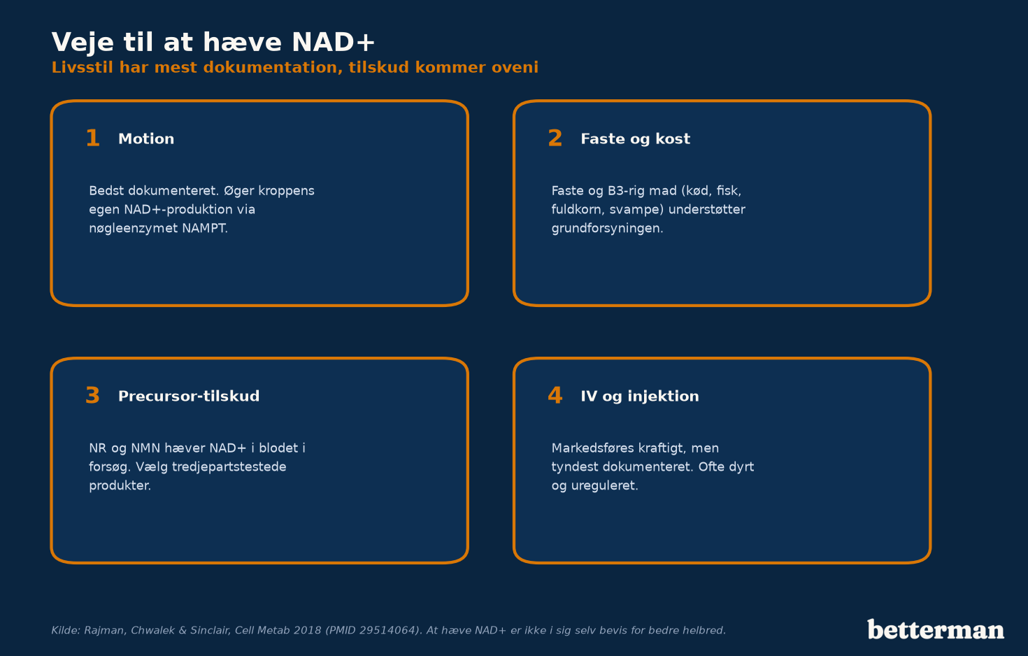 Infografik over veje til at hæve NAD+: motion, faste, kost med B3, samt precursor-tilskud som NR og NMN