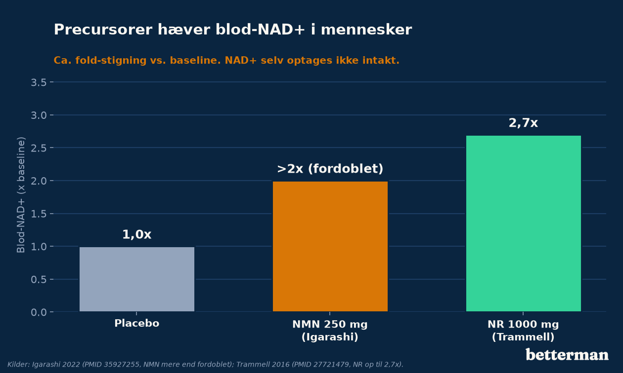 Precursorer hæver blod-NAD+ i mennesker, målt som fold-stigning fra baseline