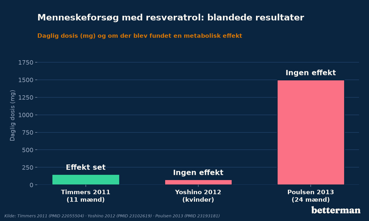 Menneskeforsøg med resveratrol giver blandede resultater: samme stof, vidt forskellige doser og udfald