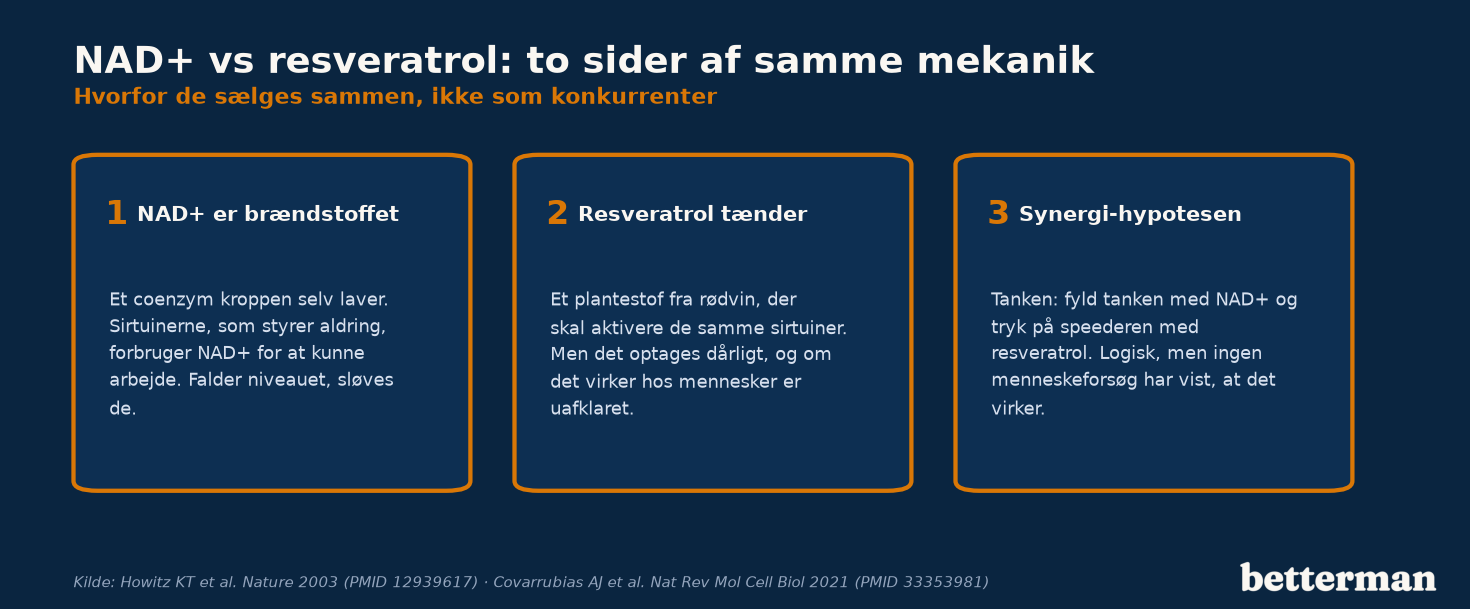 Sådan hænger NAD+ og resveratrol sammen: NAD+ er brændstof for sirtuinerne, mens resveratrol forsøger at aktivere de samme enzymer