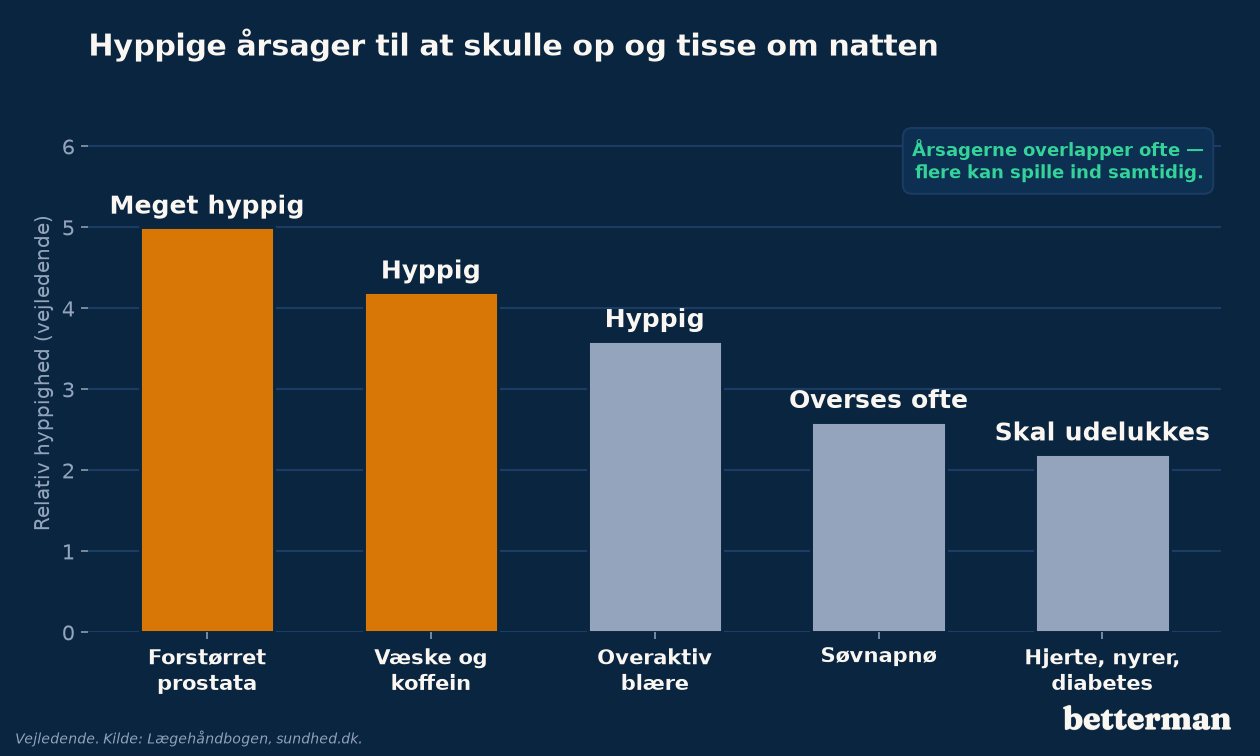 Hyppige årsager til at skulle op og tisse om natten — vejledende