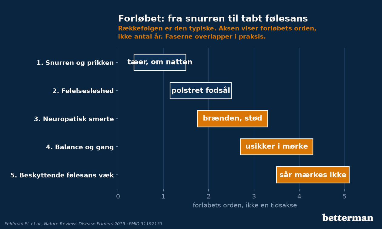 Neuropati i fødder udvikler sig i et forudsigeligt mønster fra snurren i tæerne til tabt følesans og risiko for fodsår