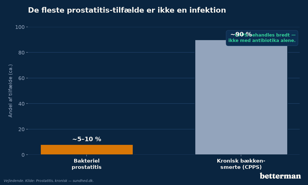 Kun en lille del af prostatitis skyldes bakterier — resten er kronisk bækkensmerte