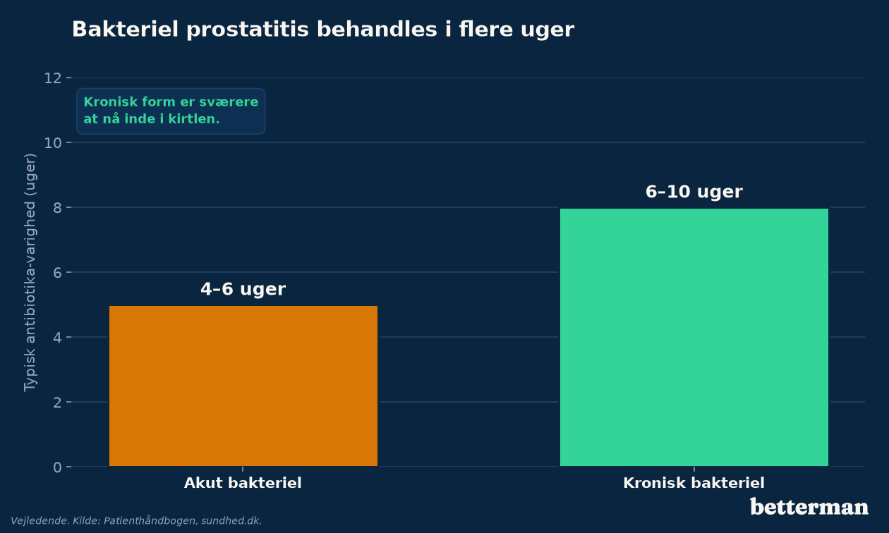 Bakteriel prostatitis behandles med lange antibiotika-kure