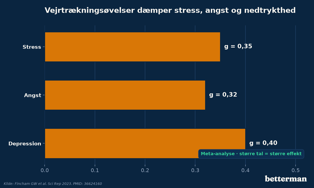 Vejrtrækningsøvelser dæmper stress, angst og nedtrykthed målt på tværs af studier