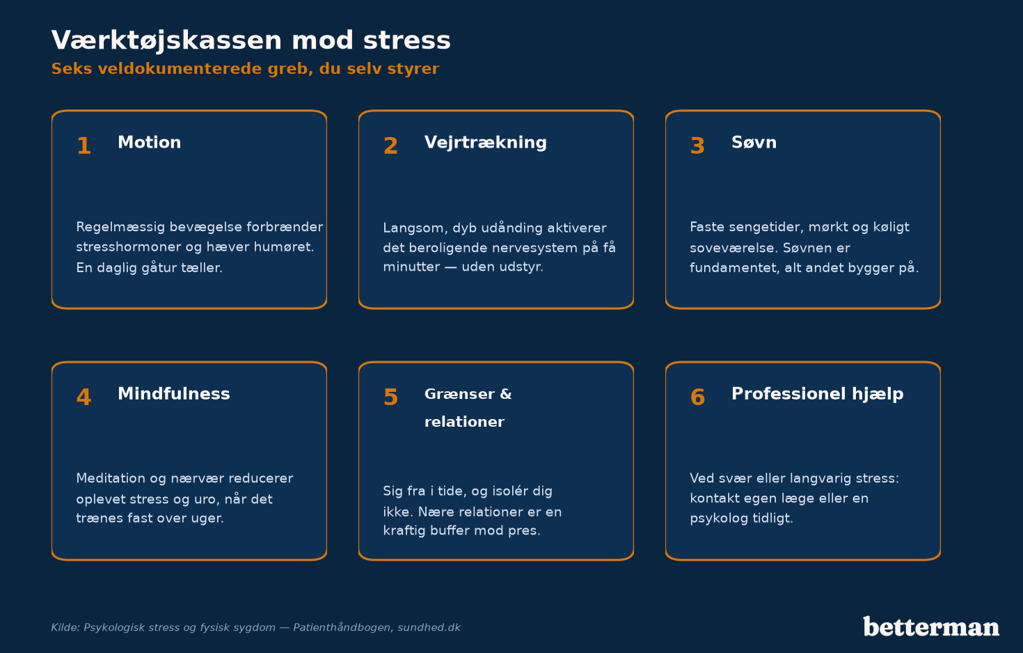 Værktøjskassen mod stress: seks veldokumenterede greb, du selv styrer