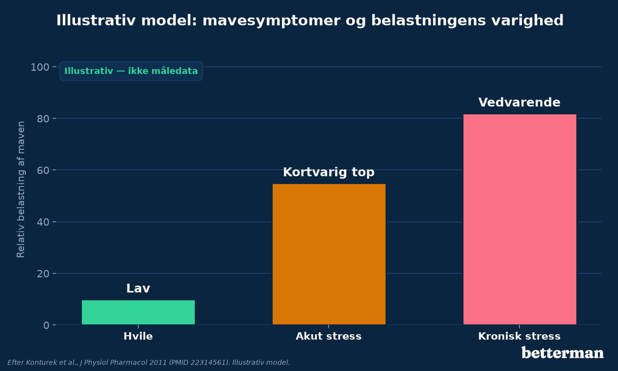 Illustrativ model af hvordan mavesymptomer stiger med belastningens varighed fra hvile over akut til kronisk stress