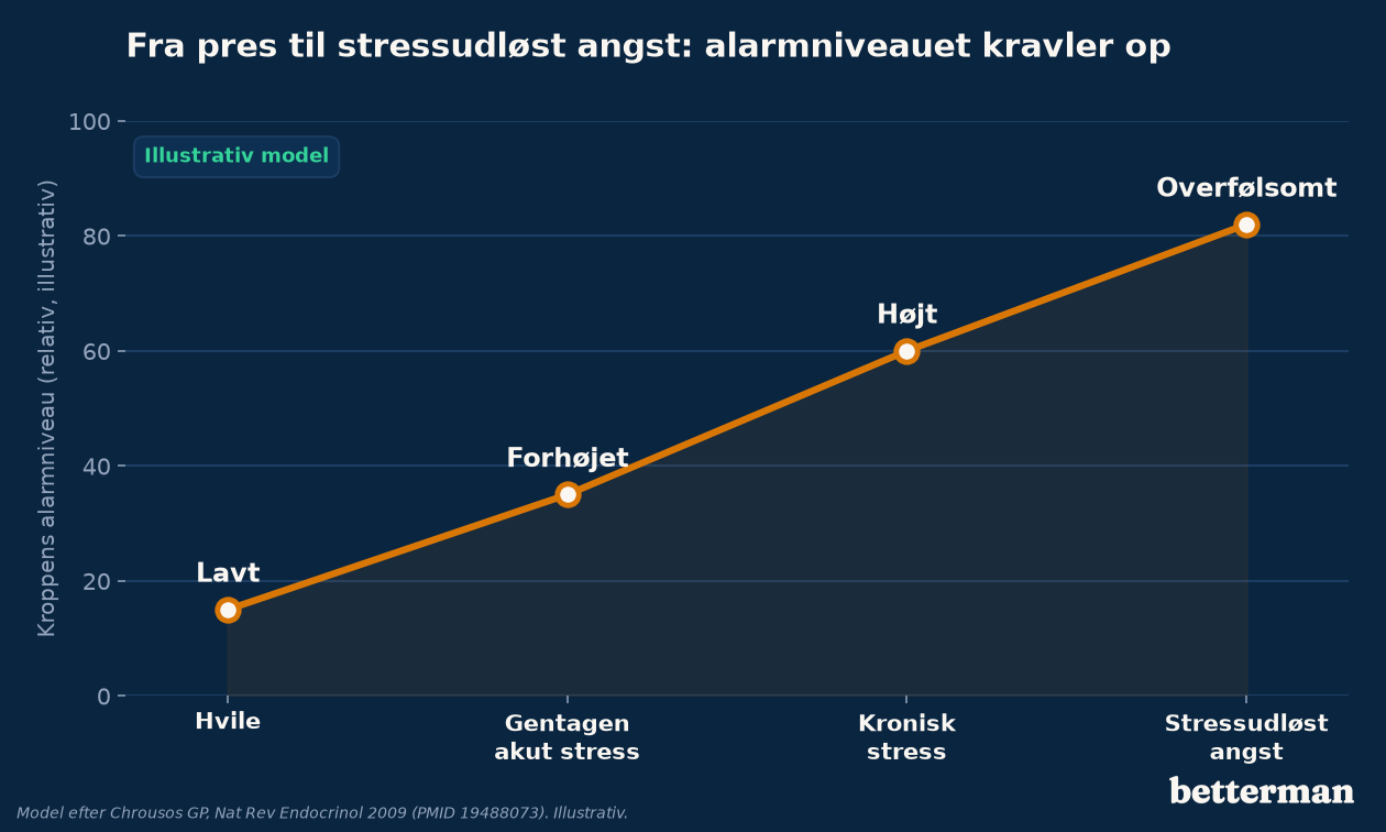 Illustrativ model af hvordan kroppens alarmniveau stiger fra hvile over akut og kronisk stress til stressudløst angst