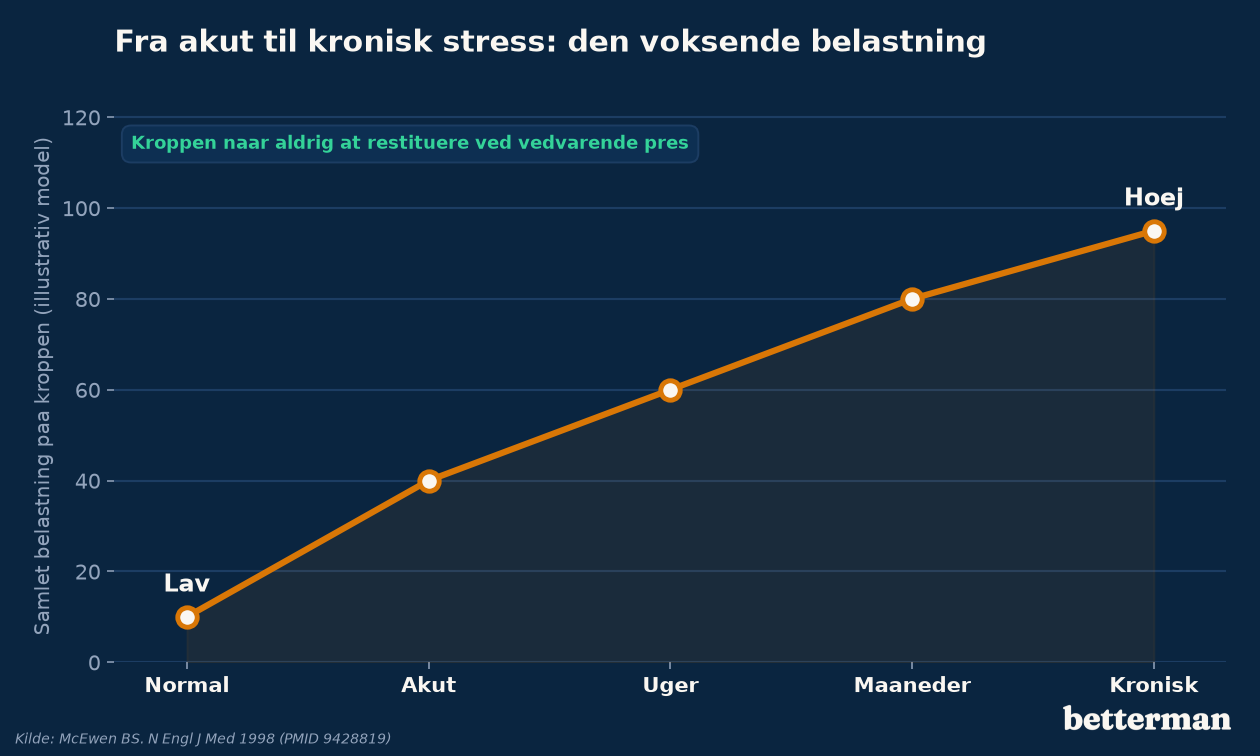 Fra akut til kronisk stress: hvordan den samlede belastning på kroppen vokser over tid