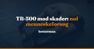 TB-500 skader: hvad dyreforsøgene viser, og hvad der faktisk heler en sene — betterman.dk