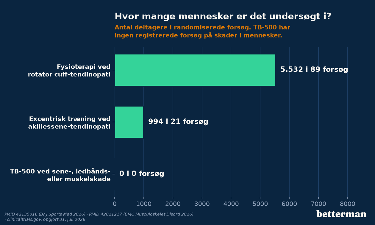 Antal mennesker undersøgt i randomiserede forsøg for fysioterapi ved skulderen, excentrisk træning og TB-500