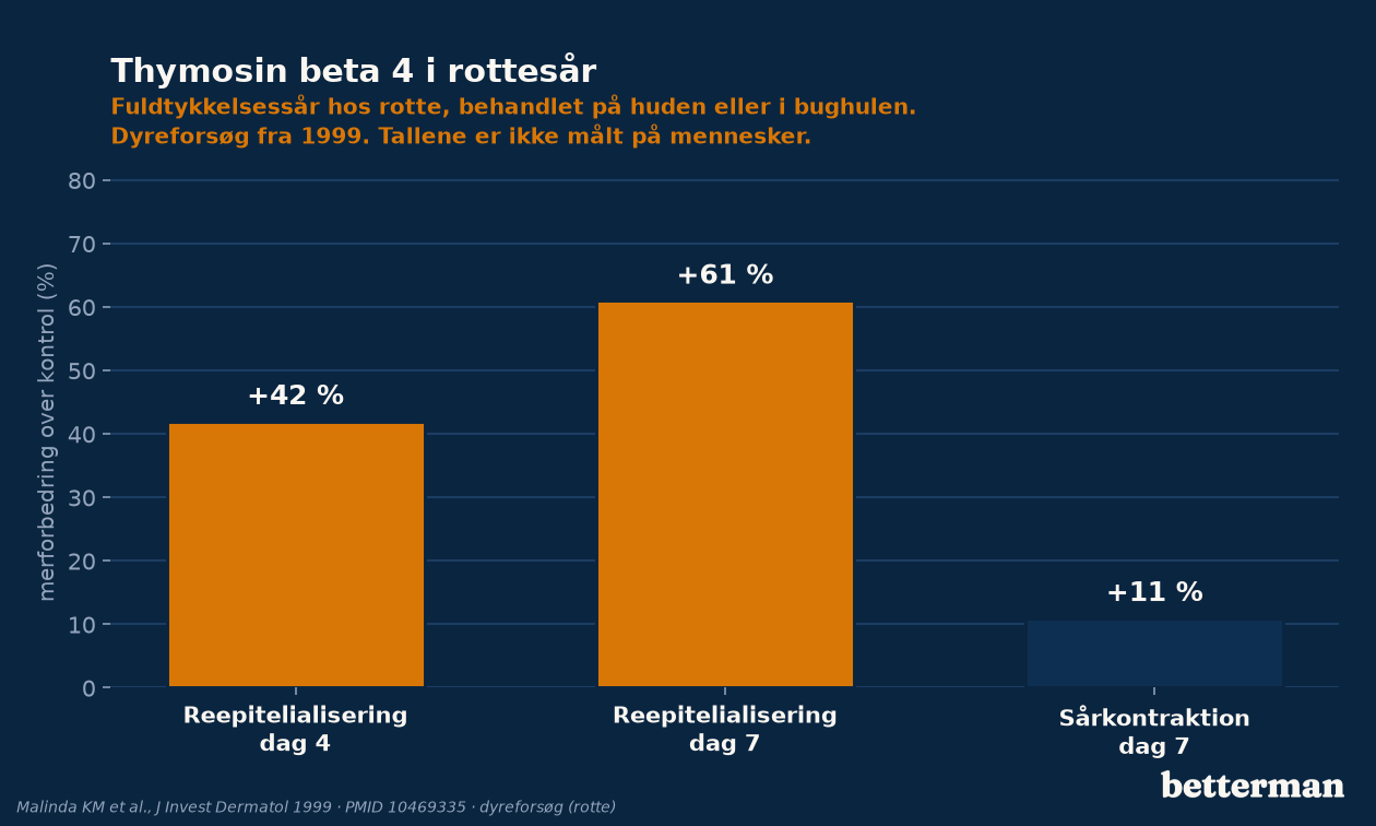 Søjlediagram over sårheling i rotter behandlet med thymosin beta-4 sammenlignet med kontrol efter fire og syv dage