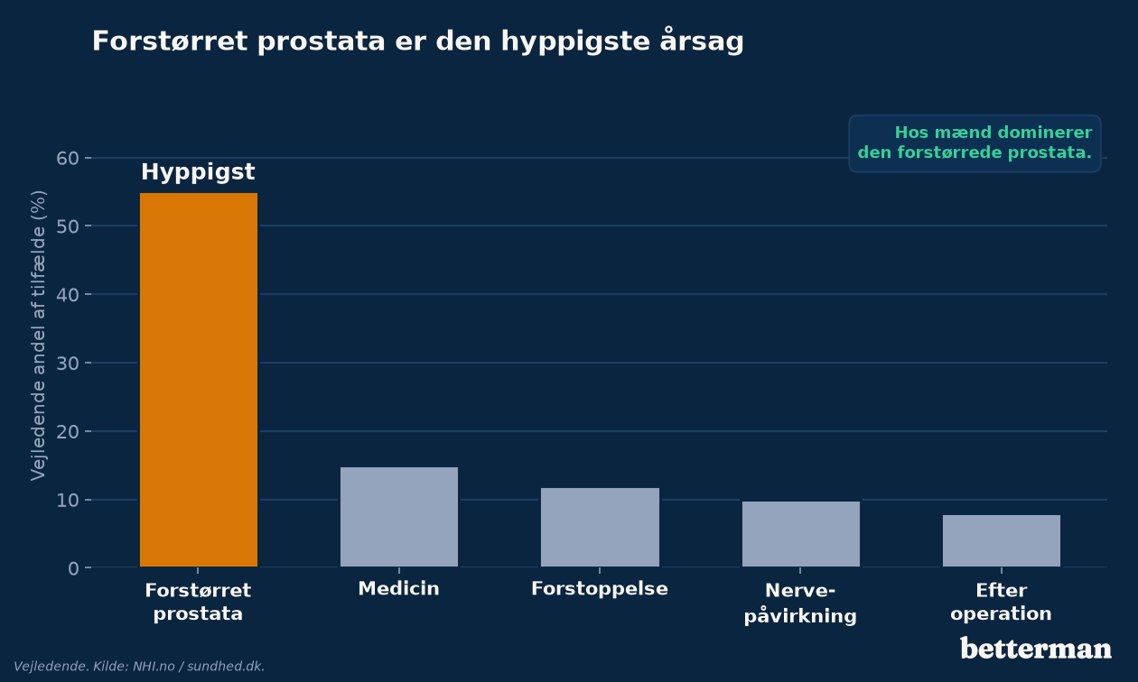 Forstørret prostata er den hyppigste årsag til urinretention hos mænd