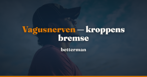Vagusnerven: anatomi, funktion og sådan styrker du den — betterman.dk