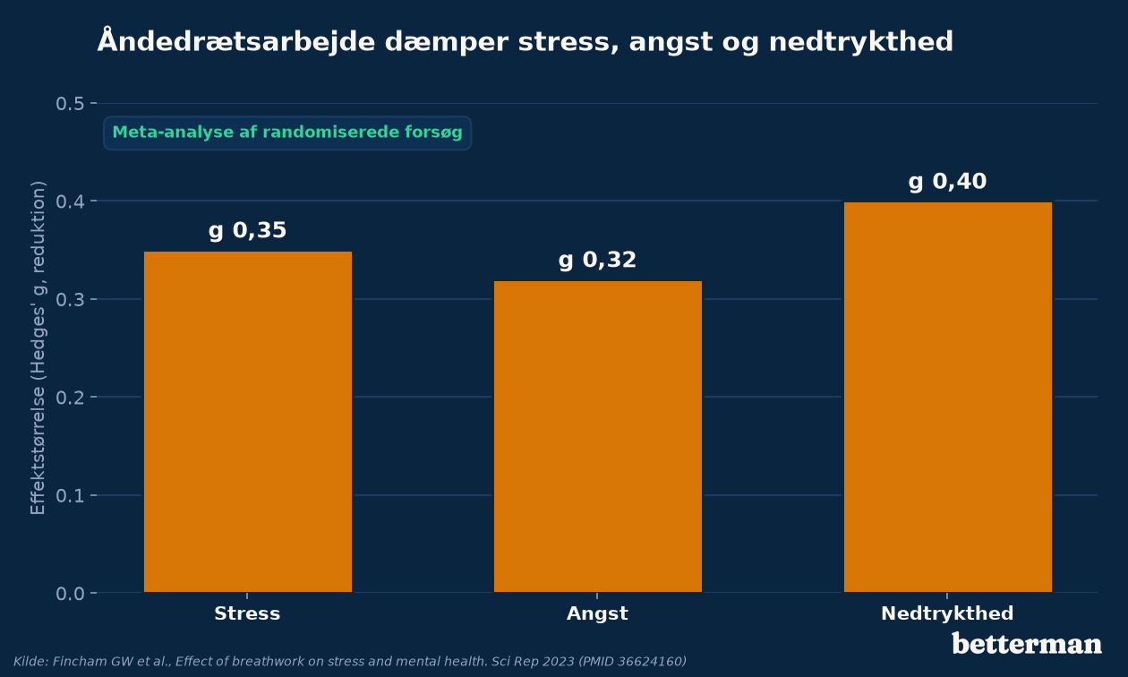 Åndedrætsarbejde dæmper stress, angst og nedtrykthed målt på tværs af randomiserede forsøg
