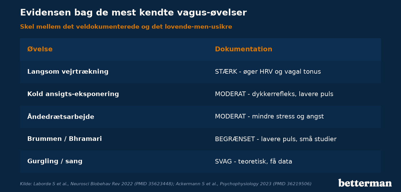 Evidensen bag de mest kendte vagus-øvelser — skel mellem det veldokumenterede og det lovende