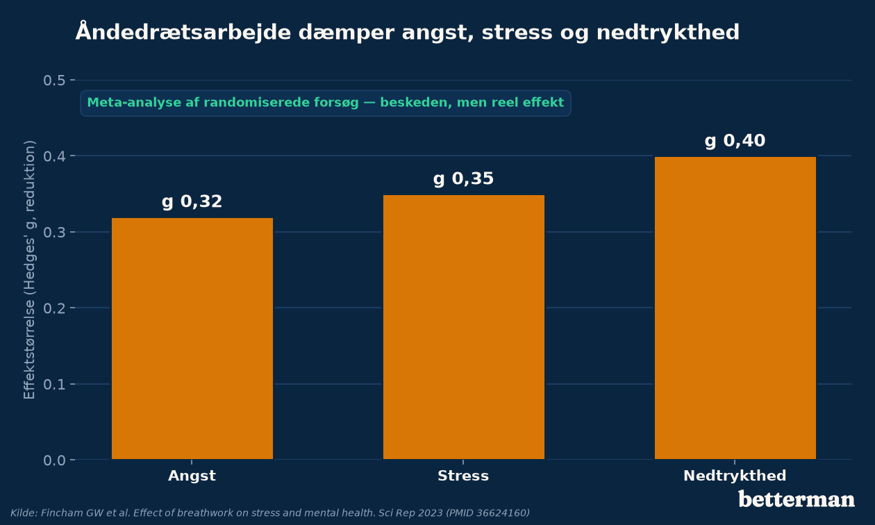 Vejen fra handling til ro: langsom vejrtrækning øger vagal aktivitet og HRV, og åndedrætsarbejde dæmper i studier både angst, stress og nedtrykthed