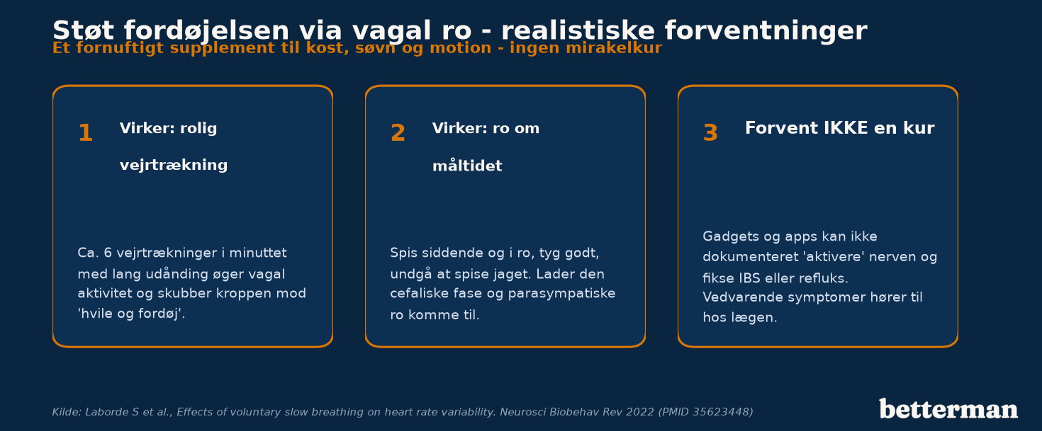 Realistiske måder at støtte fordøjelsen gennem vagal ro — og hvad man ikke skal forvente