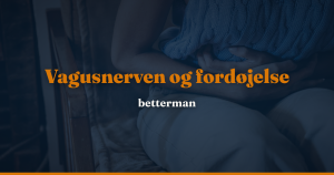 Vagusnerven og fordøjelse: sådan styrer nerven din mave — betterman.dk
