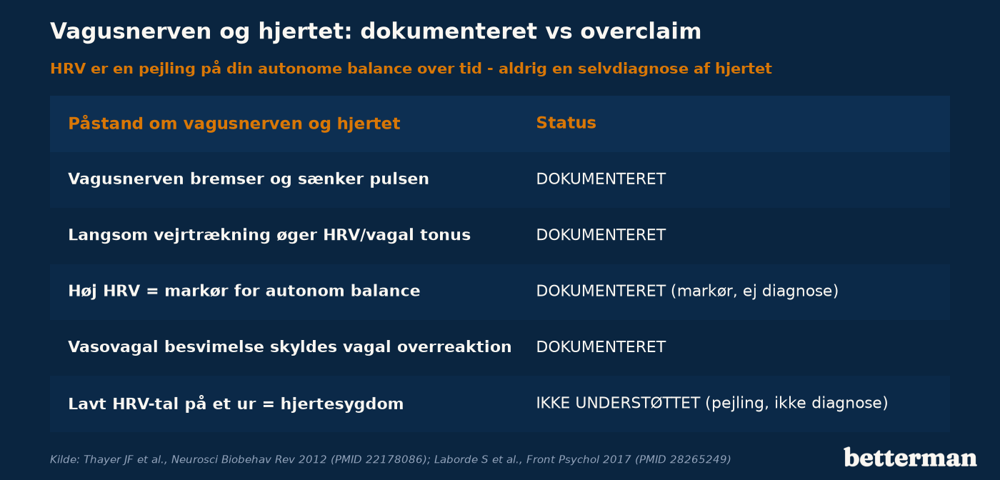 HRV er de små udsving i tiden mellem hjerteslagene og bruges som indirekte markør for vagal tonus