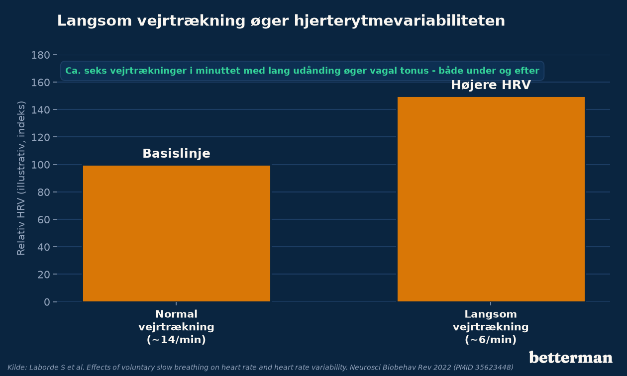Langsom vejrtrækning omkring seks gange i minuttet øger hjerterytmevariabiliteten og den vagale tonus