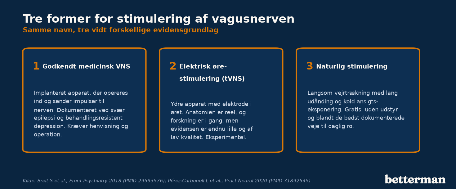 Tre former for stimulering af vagusnerven fra godkendt medicinsk behandling til naturlige metoder, med hver deres evidensniveau