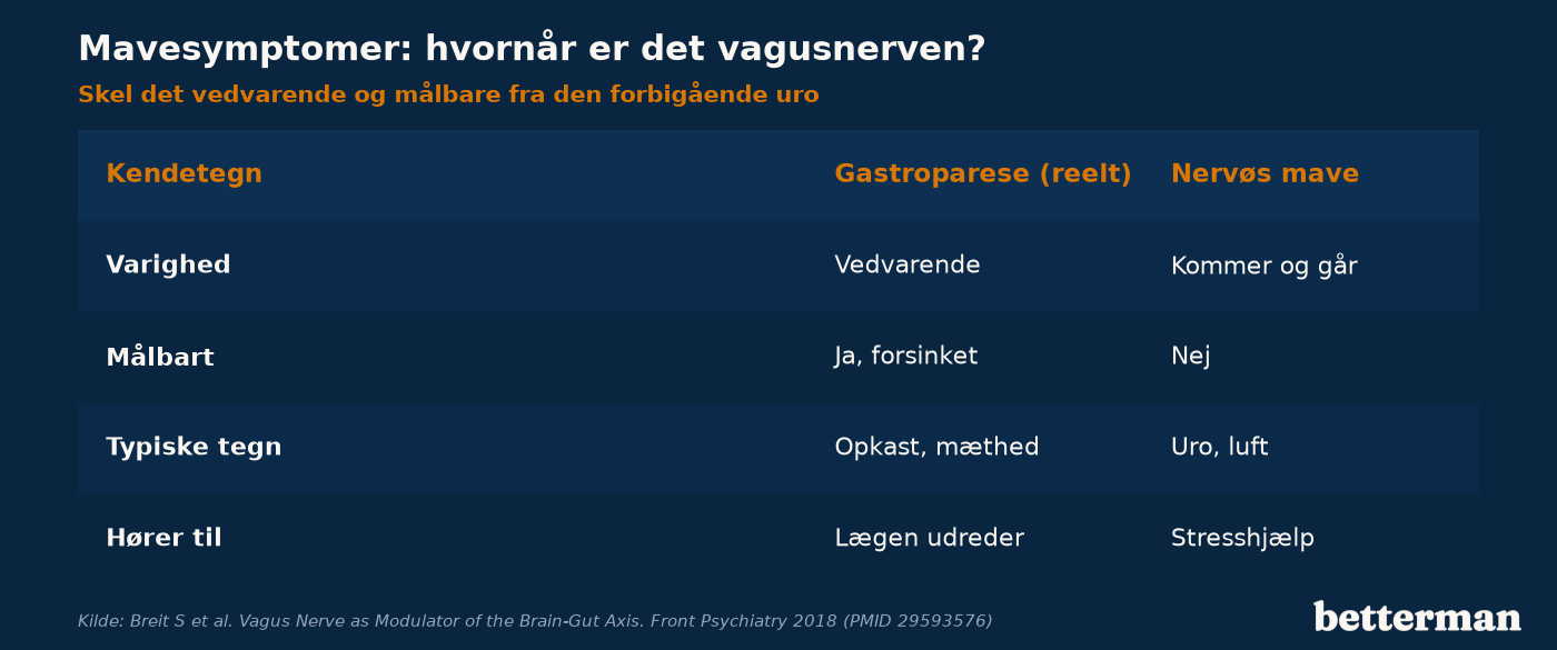 Vagusnerven forbinder hjerne og mave — derfor mærkes forstyrret signalering ofte i fordøjelsen
