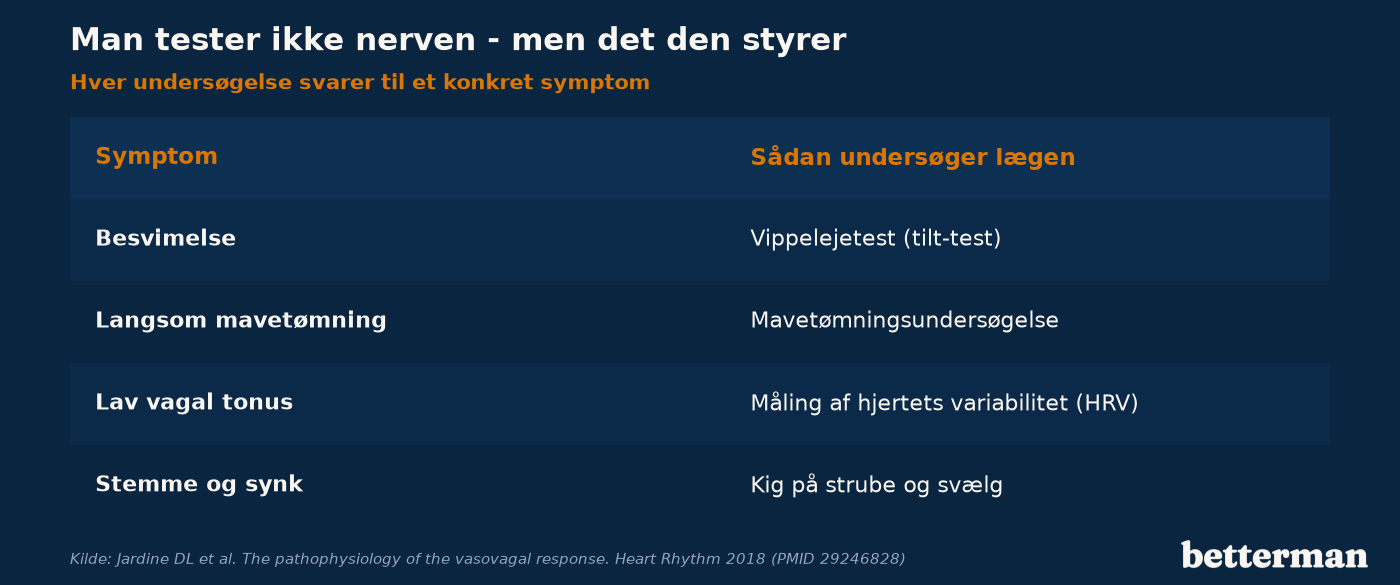 Lægen undersøger de funktioner, vagusnerven styrer — ikke nerven i sig selv
