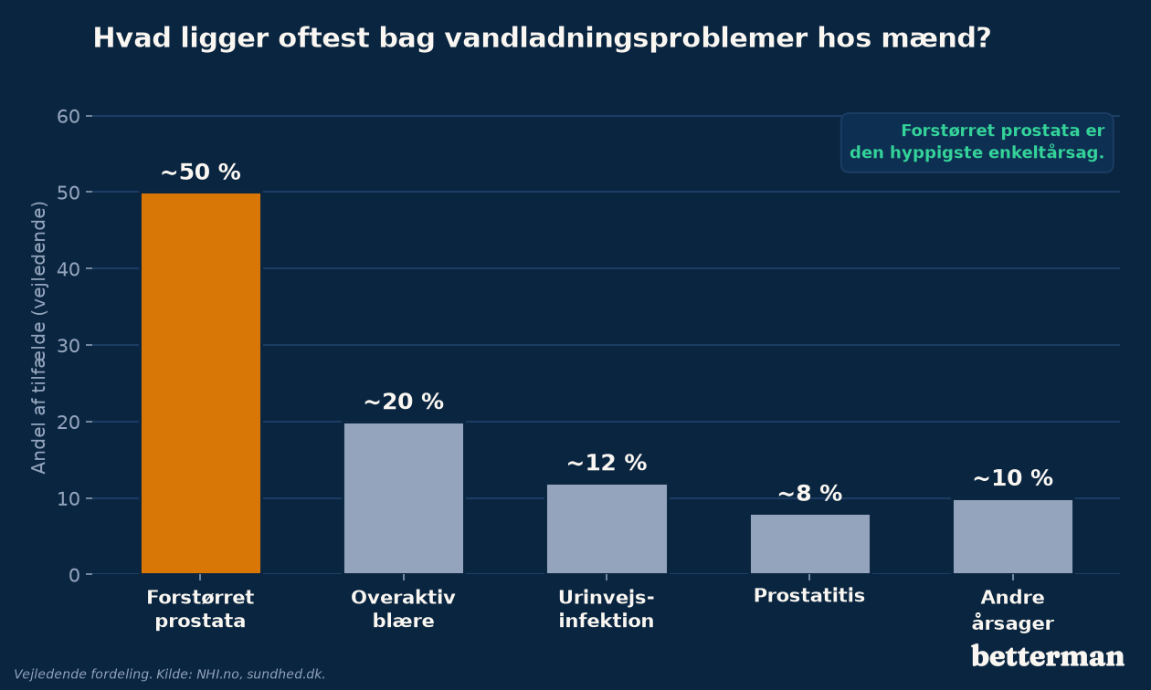 De hyppigste årsager til vandladningsproblemer hos mænd fordelt efter hvor almindelige de er