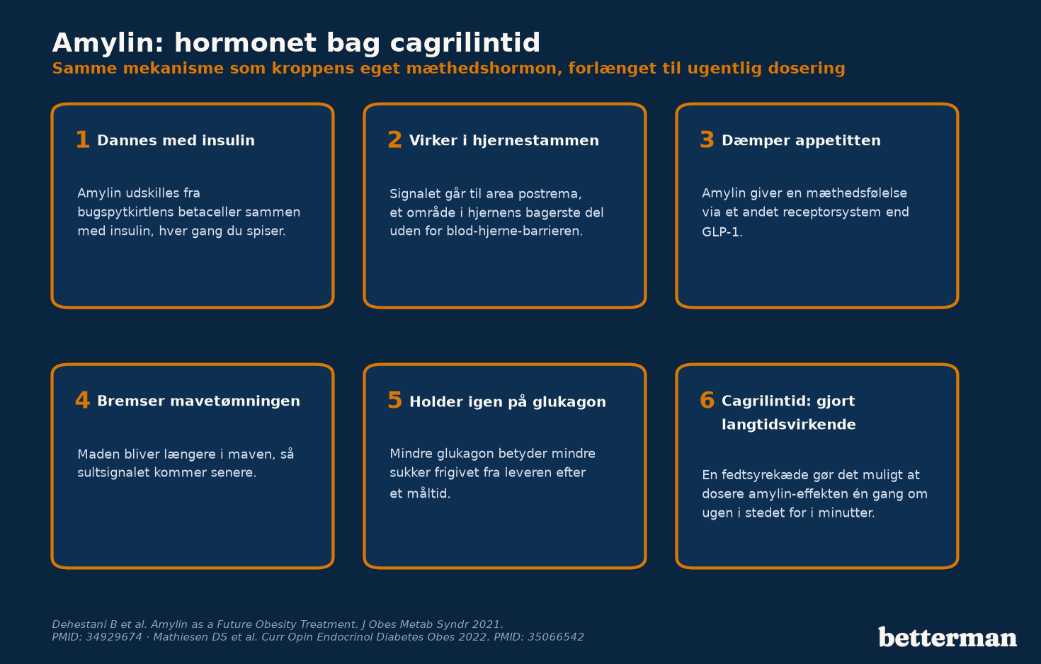 Amylin: mæthedshormonet bag cagrilintid, fra bugspytkirtel til effekt i hjernen