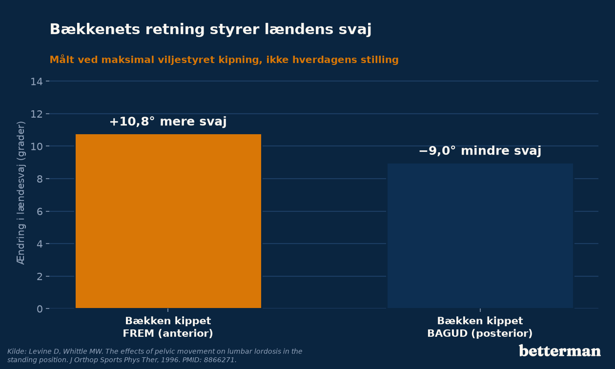 Bækkenets retning styrer lændens svaj