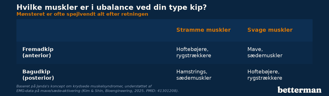 Hvilke muskler er i ubalance ved din type kip
