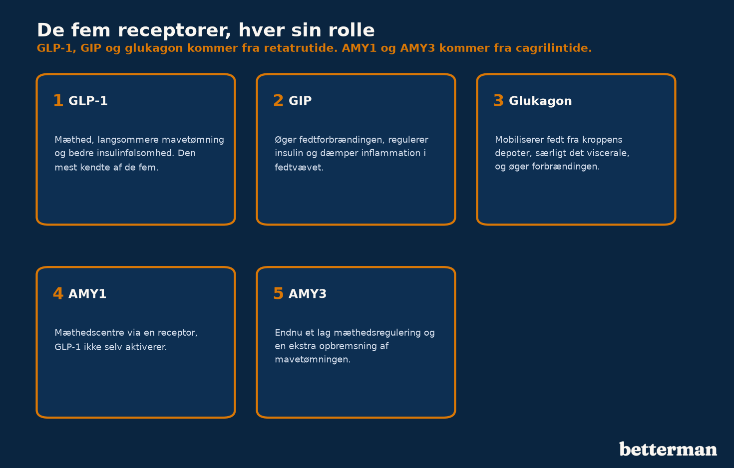 De fem receptorer bag vægttabsmedicin i dag, forklaret hver for sig