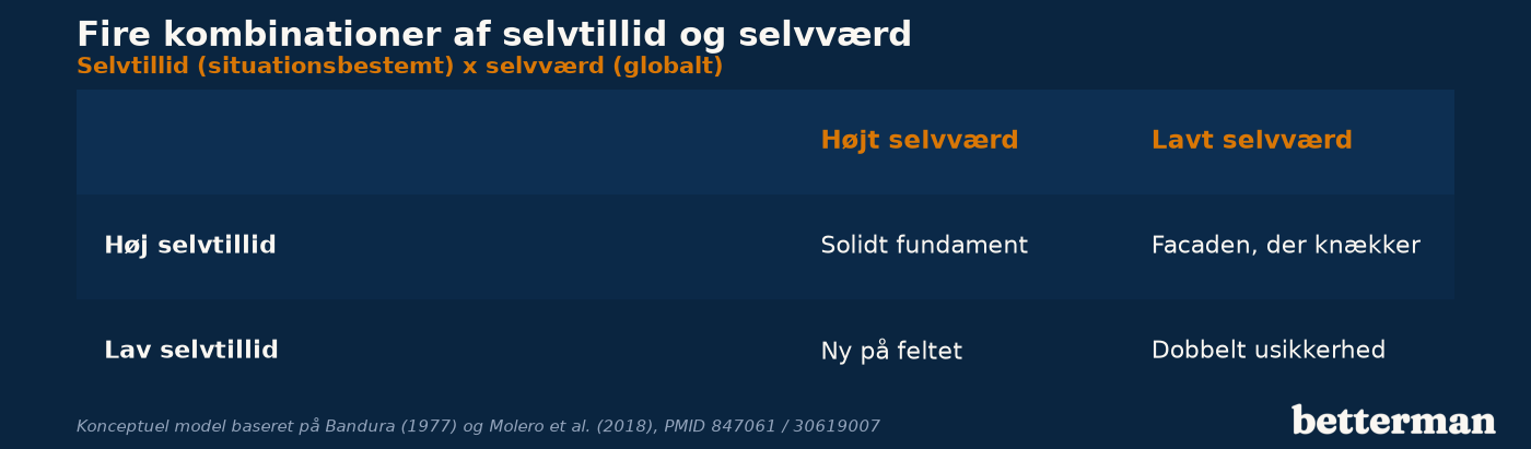 Fire kombinationer af selvtillid og selvværd hos mænd