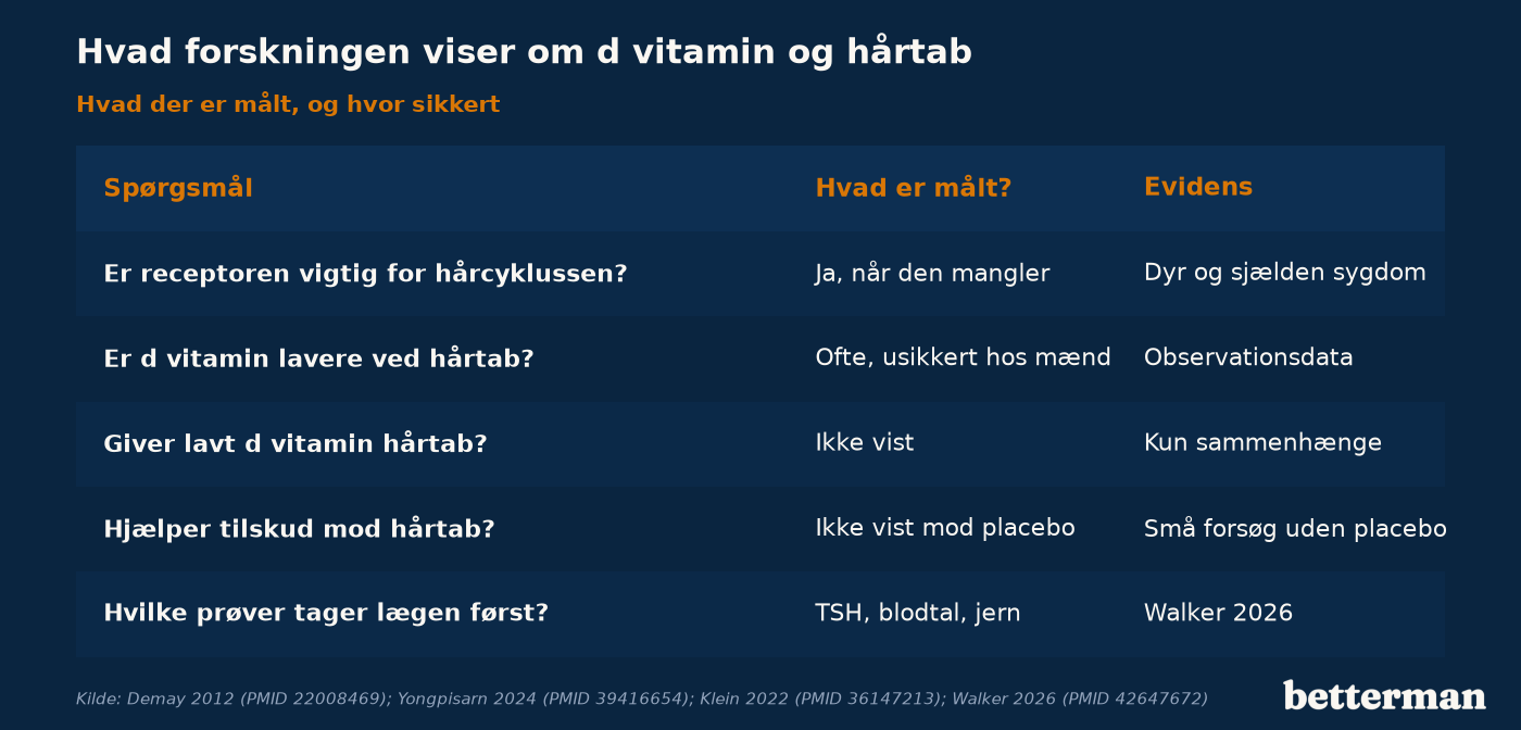 D vitamin og hårtab: hvad der er undersøgt om receptor, niveau, årsag og tilskud