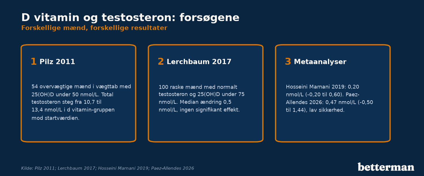 D-vitamin og testosteron: Pilz 2011 hos overvægtige mænd med lavt niveau, Lerchbaum 2017 hos raske mænd og to metaanalyser