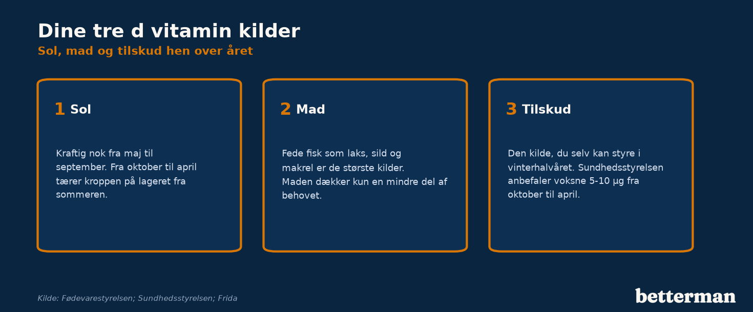 De tre d-vitamin kilder: sol fra maj til september, mad med fede fisk og tilskud om vinteren