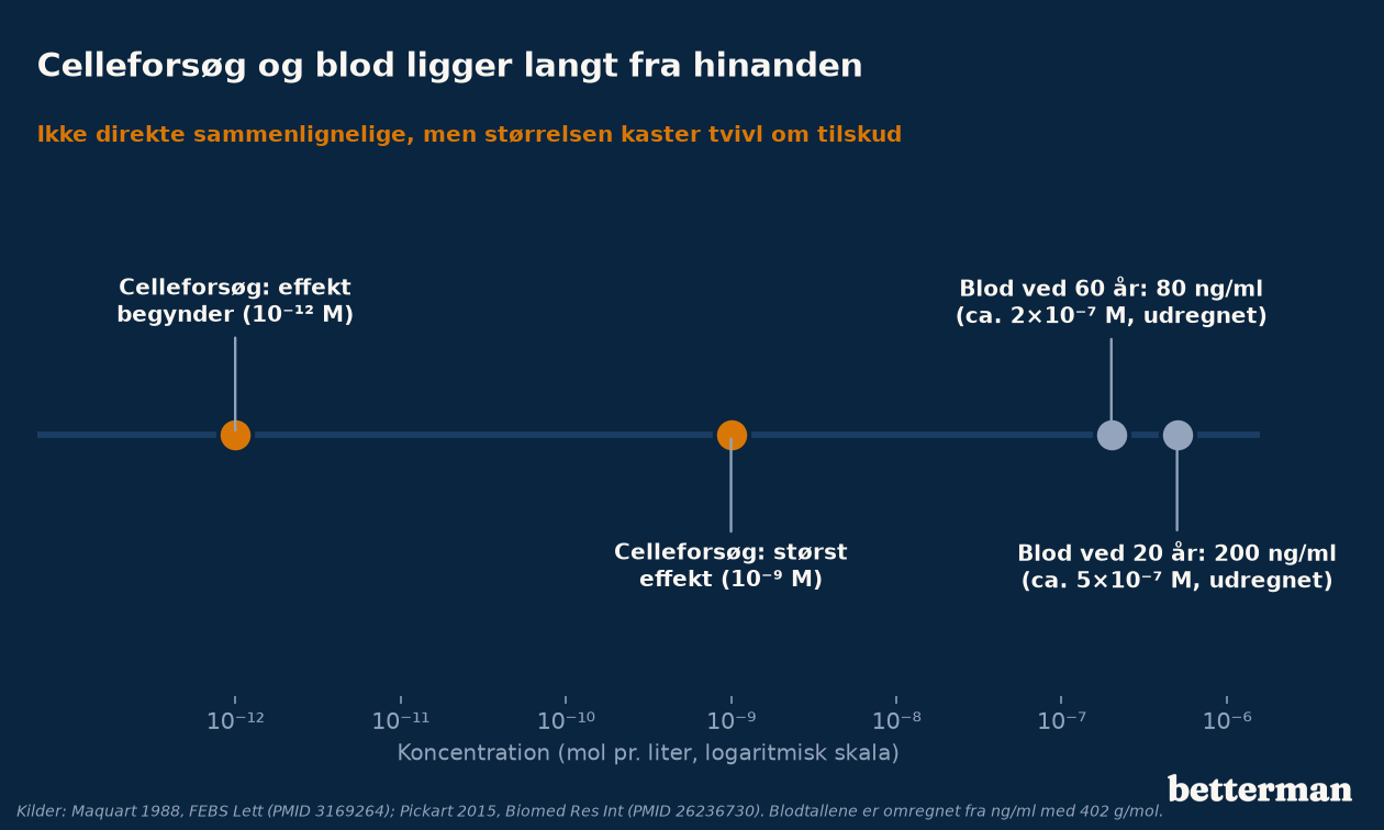 Tallinje med logaritmisk skala: effekt i celler begynder ved 10 i minus 12 molar og er størst ved 10 i minus 9, mens blodets niveau udregnes til omkring 2 gange 10 i minus 7 ved 60 år og 5 gange 10 i minus 7 ved 20 år