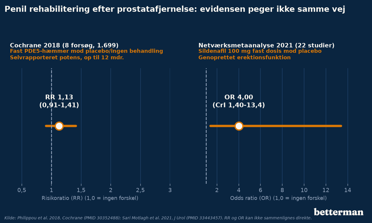 To effektmål side om side: Cochrane 2018 med risikoratio 1,13 (0,91 til 1,41) for fast PDE5-hæmmer mod placebo eller ingen behandling, og netværksmetaanalyse 2021 med odds ratio 4,00 (kredibilitetsinterval 1,40 til 13,4) for sildenafil 100 mg fast dosis
