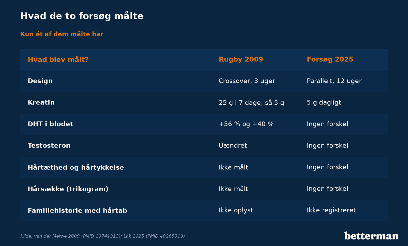 Hvad rugbyforsøget fra 2009 og forsøget fra 2025 målte: DHT, testosteron, hårtæthed, hårsække og familiehistorie