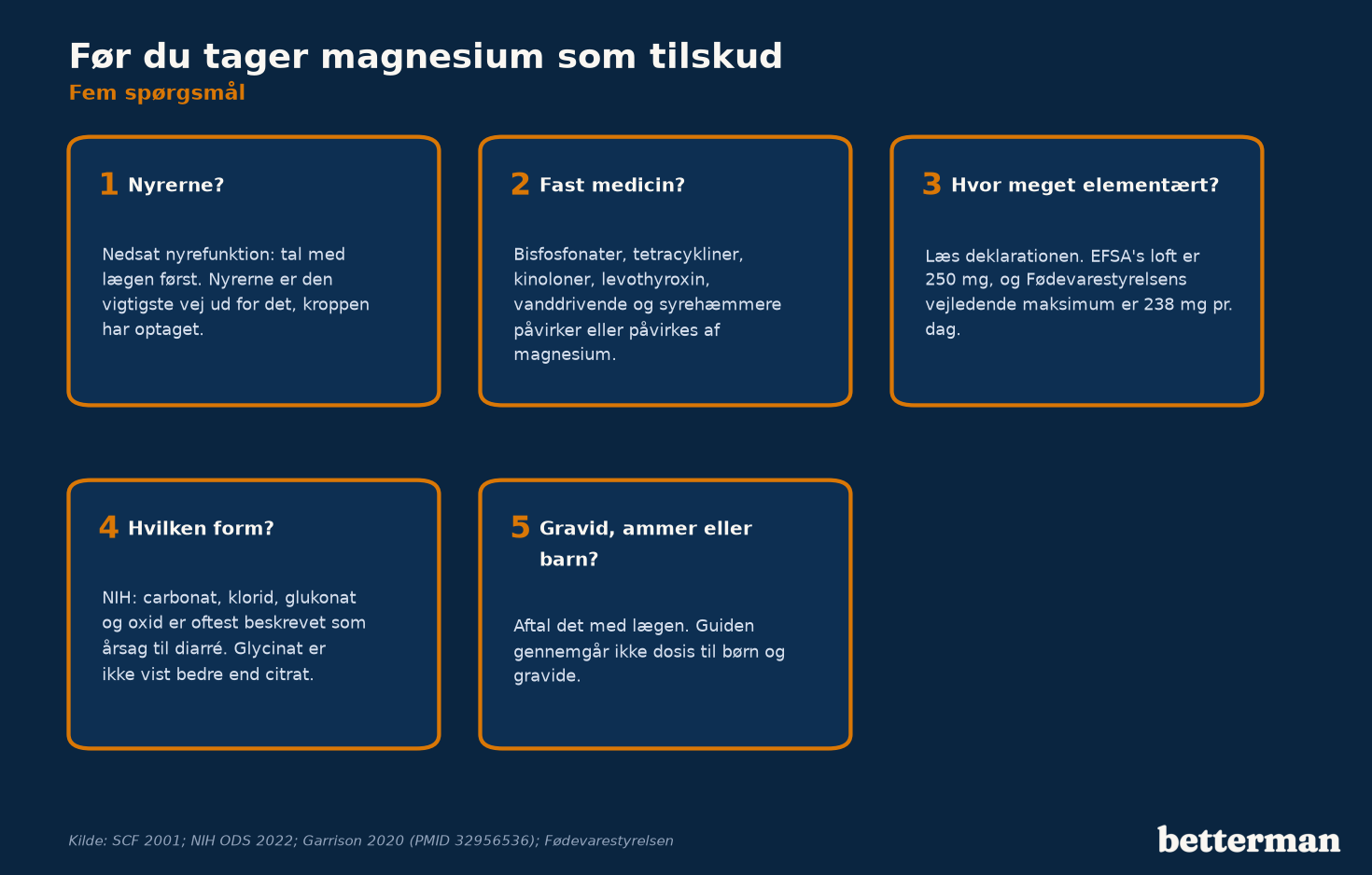 Før du tager magnesium som tilskud: nyrer, medicin, form og dosis